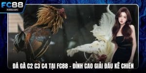 Đá gà c2 c3 c4